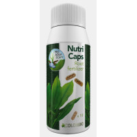 Colombo Flora Nutri Caps Colombo Flora Nutri Caps